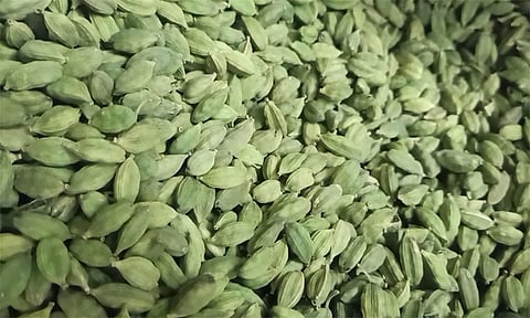 மத்திய கிழக்கு நாடுகளில் போர் பதற்றம்: ஏற்றுமதி தடைபட்டதால் ஏலக்காய் விலை குறைந்தது