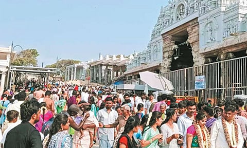 திருச்செந்தூர் கோவிலில் அலைமோதிய கூட்டம்; 3 மணி நேரம் காத்திருந்து பக்தர்கள் சாமி தரிசனம்