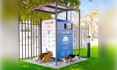 செல்ல பிராணிகளுக்கு உணவளிக்கும் எந்திரம்: துபாய் மாநகராட்சி ஏற்பாடு