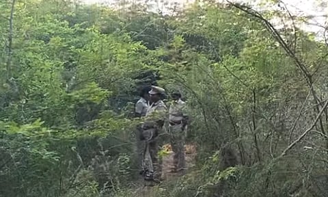 12-ம் வகுப்பு மாணவி கொலை: குற்றவாளிகளை பிடிக்க 6 தனிப்படைகள் அமைப்பு - நெல்லை சரக டி.ஐ.ஜி தகவல்