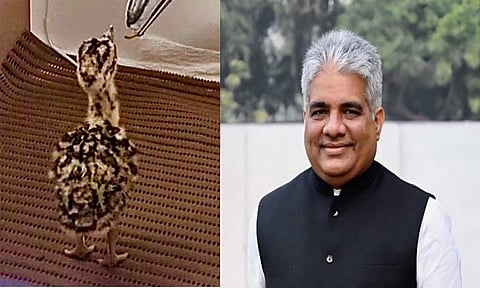 "ஜிஐபி திட்டத்தில் மற்றுமொரு வரலாற்று மைல்கல்" - மத்திய சுற்றுச்சூழல் மந்திரி பூபேந்தர் பெருமிதம்