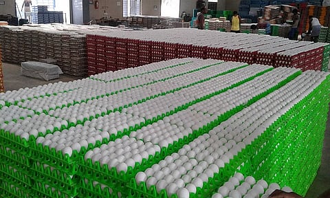 நாமக்கல்லில் இருந்து வளைகுடா நாடுகளுக்கு அனுப்பிய 3 கோடி முட்டைகள் கன்டெய்னர்களில் தேக்கம்