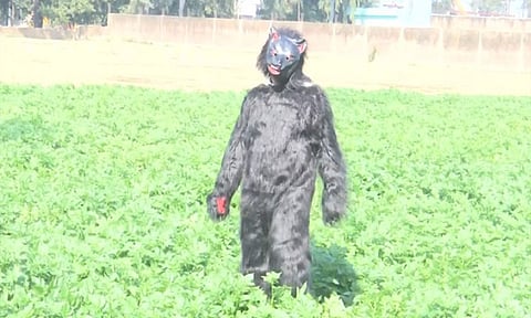 உ.பி.: கரடி வேஷத்துடன் வெயிலில் நிற்கும் விவசாயிகள்; எல்லாம் இந்த தொல்லையால்தான்...