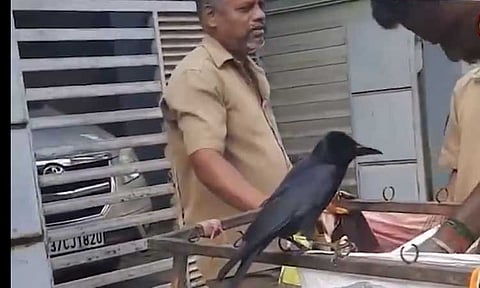 சிறிய உதவி..பெரிய மாற்றத்தை ஏற்படுத்தும்: காக்கையின் பசியை போக்கிய தூய்மை பணியாளர்