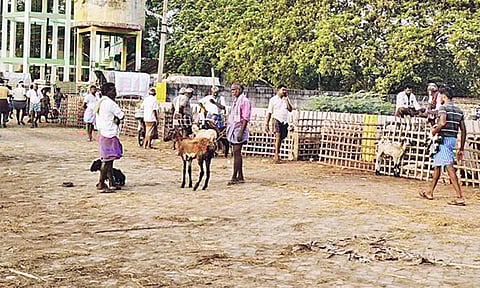 தேர்தல் விதிமுறைகளால் வெறிச்சோடிய எட்டயபுரம் ஆட்டுச்சந்தை: வர்த்தகம் குறைந்ததால் வியாபாரிகள் கவலை