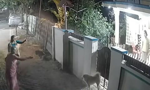 பெண்ணை விரட்டிச் சென்று கடித்த வளர்ப்பு நாய்... வேடிக்கை பார்த்த உரிமையாளர்கள் - நாகையில் பரபரப்பு