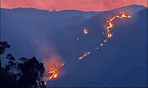 கொடைக்கானல் மலைப்பகுதியில் பயங்கர காட்டுத்தீ