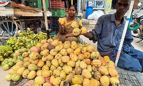 நடப்பு ஆண்டில் மாம்பழ சீசன் தள்ளிப்போகிறது: மாம்பழ பிரியர்கள் அதிர்ச்சி