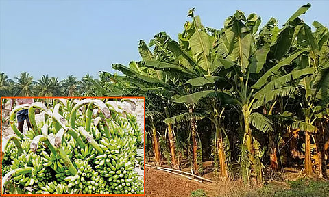 கோப்புப்படம்