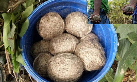 மேற்கு வங்காளம்: வீட்டில் பதுக்கி வைக்கப்பட்டிருந்த 22 நாட்டு வெடிகுண்டுகள் பறிமுதல்