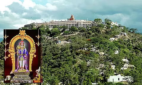 பழனி முருகன் கோவிலில் உண்டியல் காணிக்கை மூலம் ரூ.3.56 கோடி வருவாய்