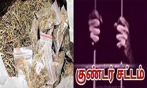 கஞ்சா விற்பனை வழக்கில் வாலிபர் குண்டர் சட்டத்தில் கைது
