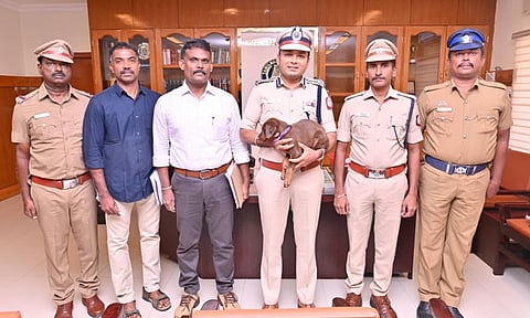 நெல்லைக்கு புதிய மோப்ப நாய் குட்டி ப்ரௌனி வருகை: போலீஸ் கமிஷனர் பெயர் சூட்டினார்
