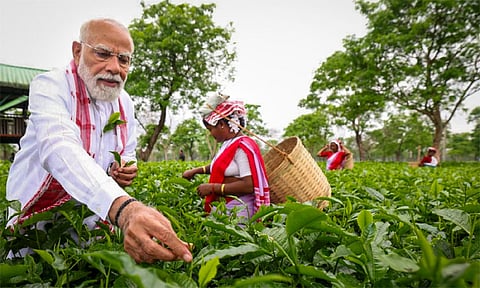 அசாமில் தேயிலை தோட்டத்திற்கு சென்ற பிரதமர் மோடி: தொழிலாளர்களுடன் கலந்துரையாடல்