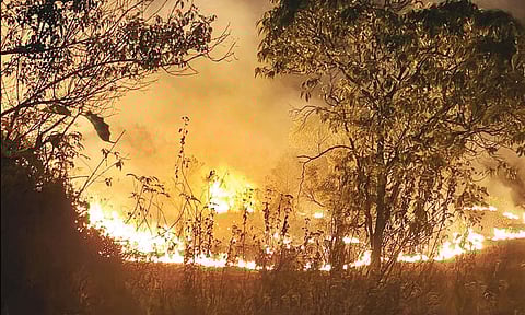 சேலம்: சேர்வராயன் வனப்பகுதியில் திடீர் காட்டுத்தீ