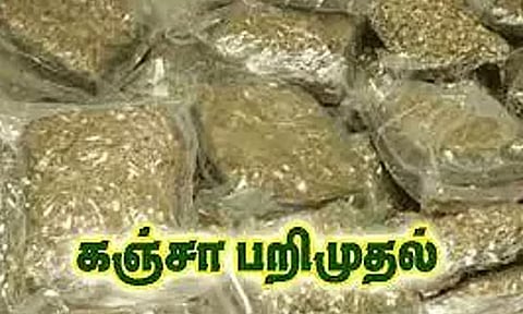 திருச்சி ரெயில் நிலையத்தில் 10 கிலோ கஞ்சா பறிமுதல்