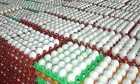 நாமக்கல்லில் முட்டை கொள்முதல் விலை 5 காசுகள் உயர்வு