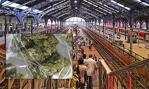 சென்னை எழும்பூர் ரெயில் நிலையத்தில் 19 கிலோ கஞ்சா பறிமுதல்