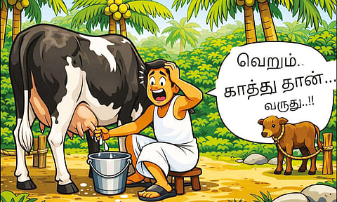 கொளுத்தும் வெயிலால் பசுக்களில் பால்சுரப்பு குறைந்தது - விவசாயிகள் கவலை