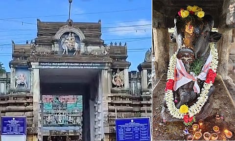 சிறப்பு அலங்காரத்தில் நந்தியம்பெருமான் (இடம்: நாகை காயாரோகண சுவாமி கோவில்)