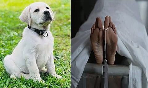 நாய்க்குட்டியின் நகம் கீறியதால் விபரீதம்: பெண் உயிரிழப்பு