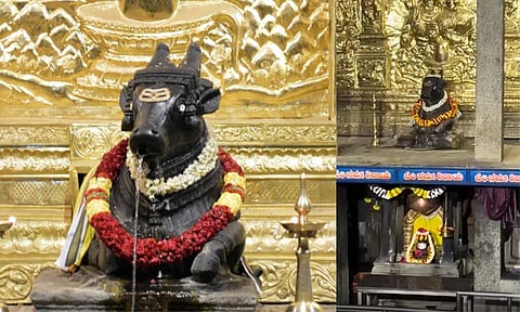 தட்சிணமுக நந்தி தீர்த்த கல்யாணி கோவில்