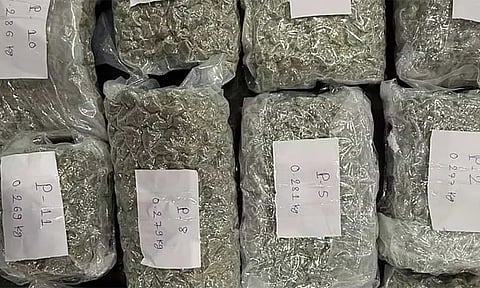 கோப்பு படம்