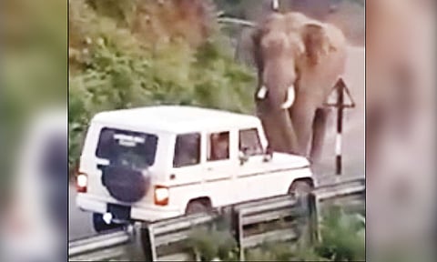 வனத்துறையினர் வாகனத்தை தாக்கிய காட்டு யானையால் பரபரப்பு