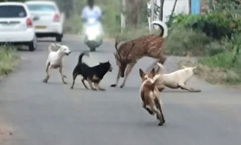 கோப்புப்படம்