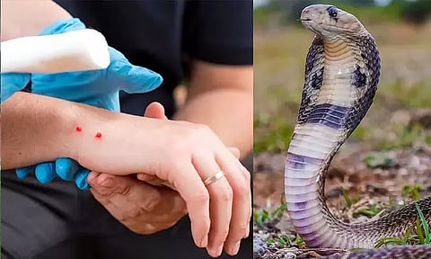 கோப்புப்படம்