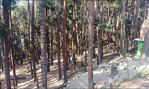 நீலகிரி: சட்டசபைதேர்தல் காரணமாக மூடப்பட்டிருந்த சுற்றுலாத் தலங்கள் இன்று மீண்டும் திறப்பு