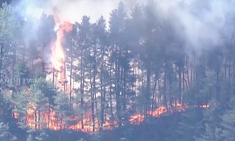 ஜப்பானில் பயங்கர காட்டுத்தீ; பாதுகாப்பு கருதி 2,500 பேர் வெளியேற்றம்