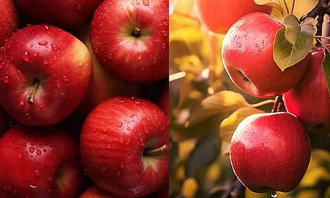 கோப்புப்படம்