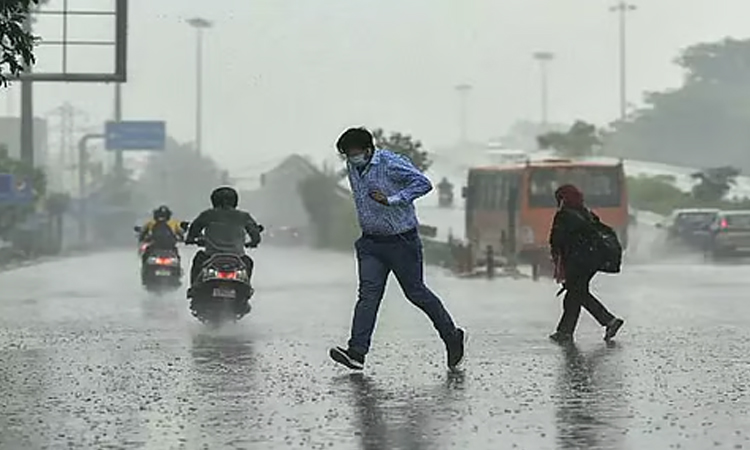 தென்காசி, குமரியில் பரவலாக மழை.. வெப்பம் தணிந்ததால் மக்கள் மகிழ்ச்சி