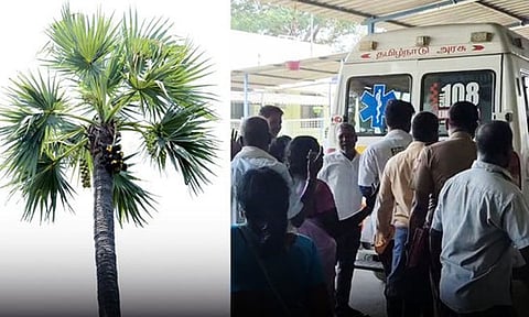 ஸ்ரீபெரும்புதூர் அருகே நுங்கு பறித்த கல்லூரி மாணவர்கள் இருவர் மின்சாரம் தாக்கி பலி