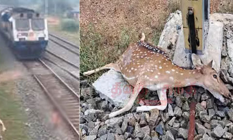 கோப்புப்படம்