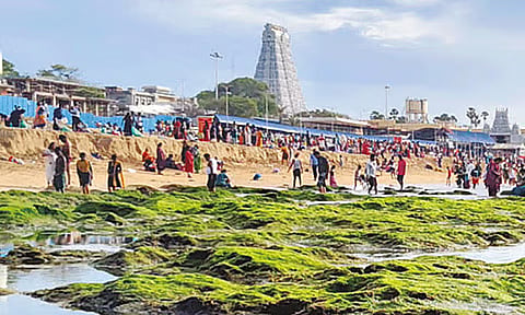 திருச்செந்தூரில் 2-வது நாளாக உள்வாங்கிய கடல்