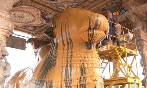 தஞ்சை பெரிய கோவில் நந்திக்கு சிறப்பு அபிஷேகம் - திரளான பக்தர்கள் தரிசனம்