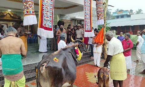 வைகாசி மாத பிறப்பு... சீர்காழி சட்டை நாதர் கோவிலில் கோ பூஜை