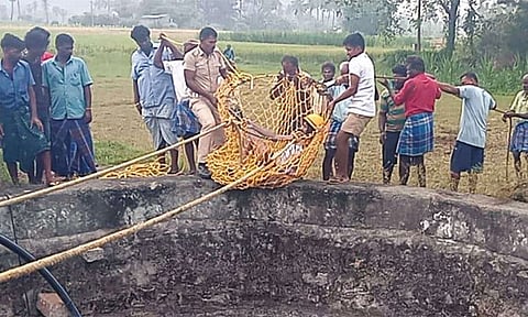திருவண்ணாமலையில் கிணற்றில் விழுந்து இரவு முழுவதும் உயிருக்கு போராடிய தொழிலாளி மீட்பு!