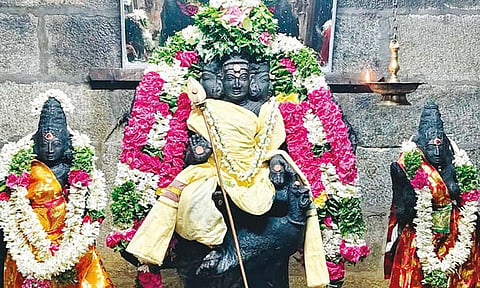 நன்செய் இடையாறு கோவிலில், சிறப்பு அலங்காரத்தில் வள்ளி-தெய்வானை சமேத சுப்பிரமணியர்