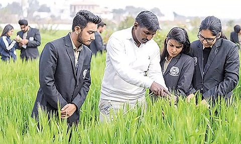 வேளாண் பட்டப்படிப்பு சேர்க்கை: விண்ணப்பிக்க ஜுன் 8-ந் தேதி கடைசி நாள்