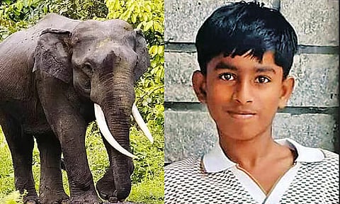 காட்டு யானை தாக்கி சிறுவன் பலி