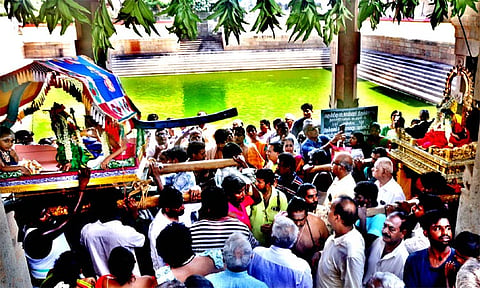 கடலூர் பாடலீஸ்வரர் கோவிலில் வைகாசி திருவிழா, ஞானசம்பந்தர் ஞானப்பால் உண்ட ஐதீக நிகழ்ச்சி