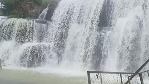 குமரியில் கனமழை நீடிப்பு; திற்பரப்பு அருவியில் குளிக்க தடை