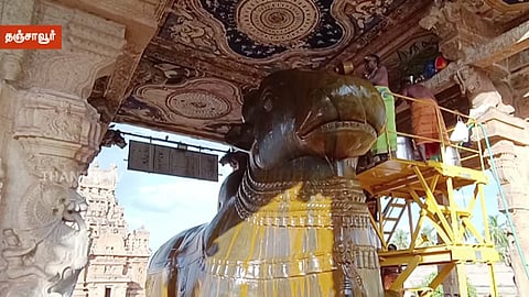 தஞ்சை பெரிய கோவிலில் பிரதோஷ வழிபாடு - நந்திக்கு சிறப்பு அபிஷேகம்
