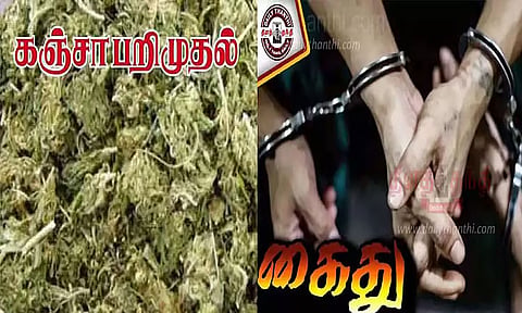 கஞ்சா செடி வளர்த்த வாலிபர் கைது