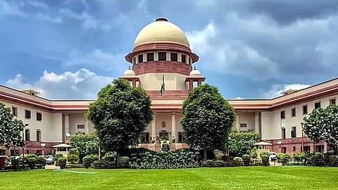 தவெக அரசுக்கு எதிரான குதிரை பேர புகார்: மனுவை தள்ளுபடி செய்தது சுப்ரீம் கோர்ட்டு