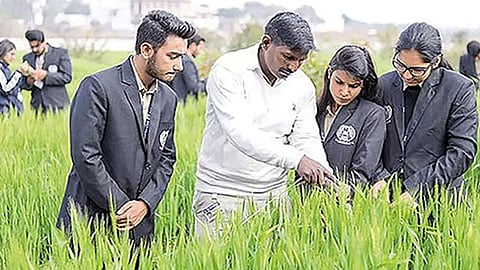 வேளாண் படிப்புகள்- அறிவிப்பு