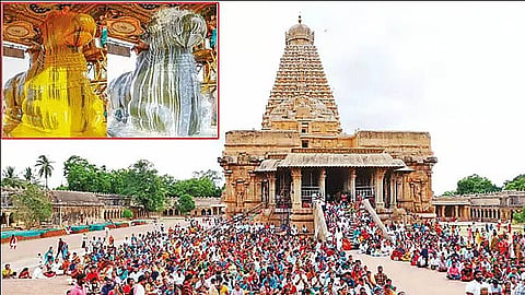 ஆனி பிரதோஷம்: தஞ்சை பெரிய கோவில் நந்திக்கு சிறப்பு அபிஷேகம்